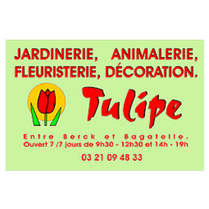 logo tulipe partenaire du trail des 2 baies